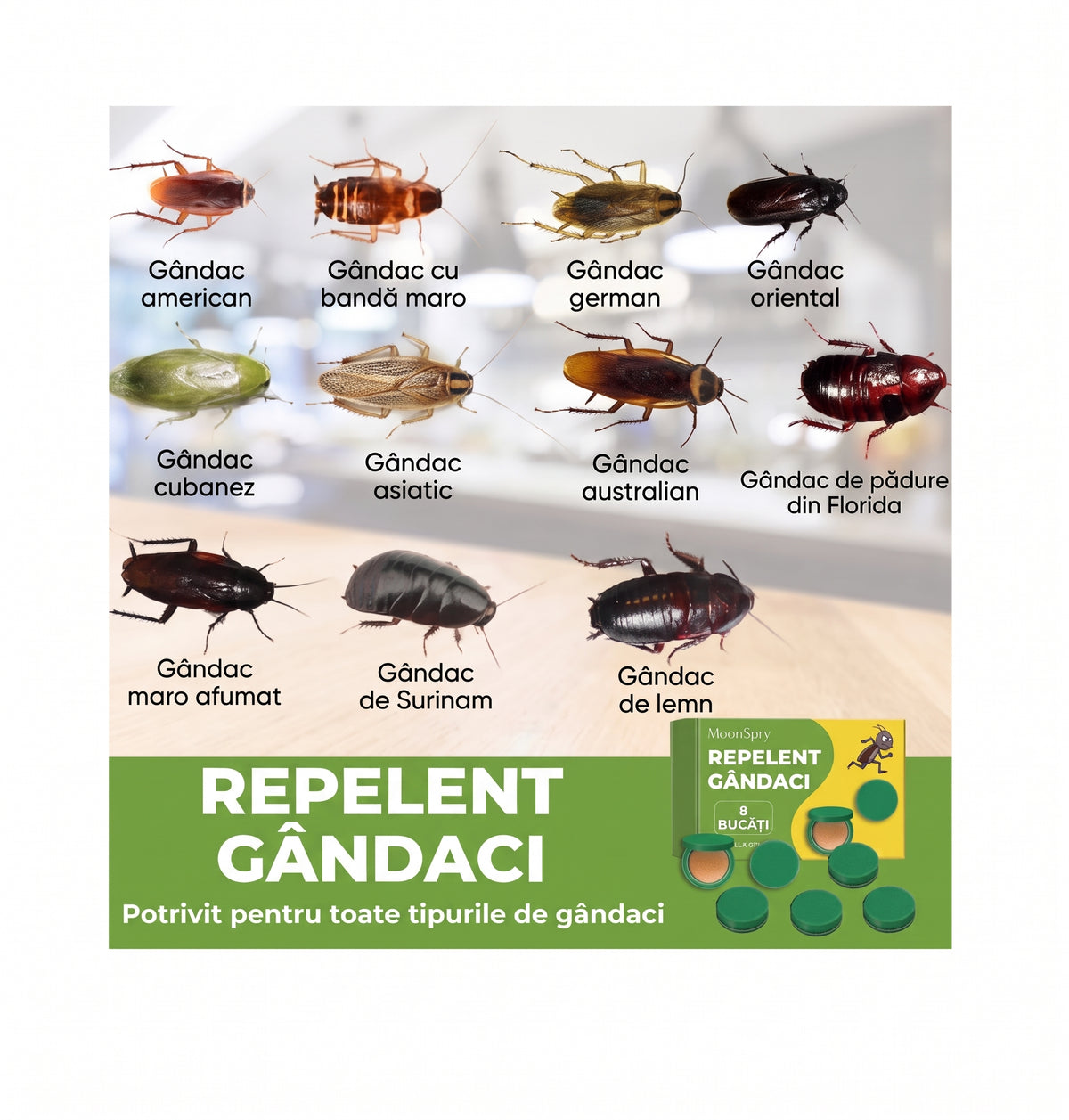 Capcane Pentru Gândaci de bucatarie™