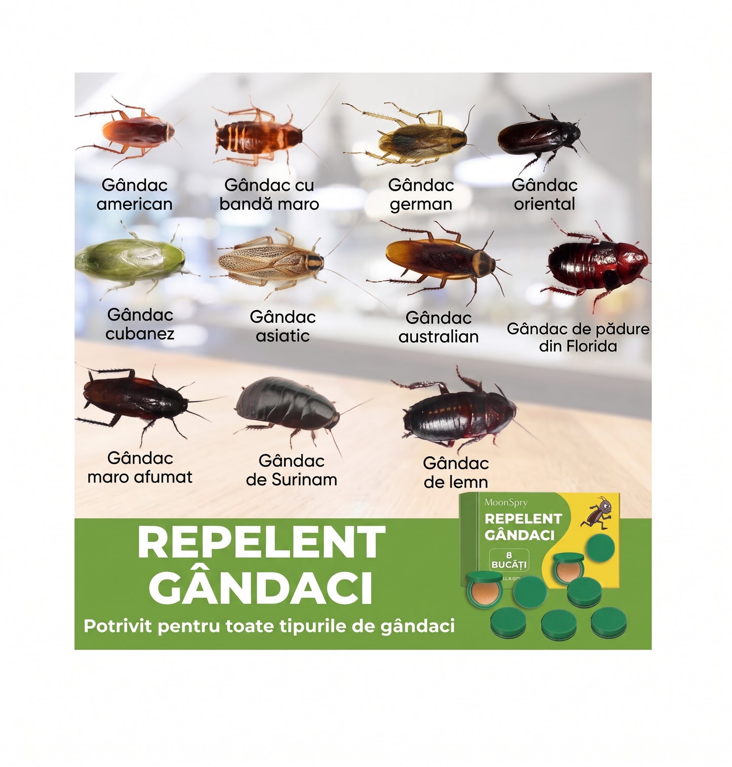 Capcane Pentru Gândaci de bucatarie™